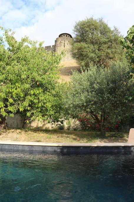 Villa L'echauguette, De Luxe Avec Piscine Carcassonne